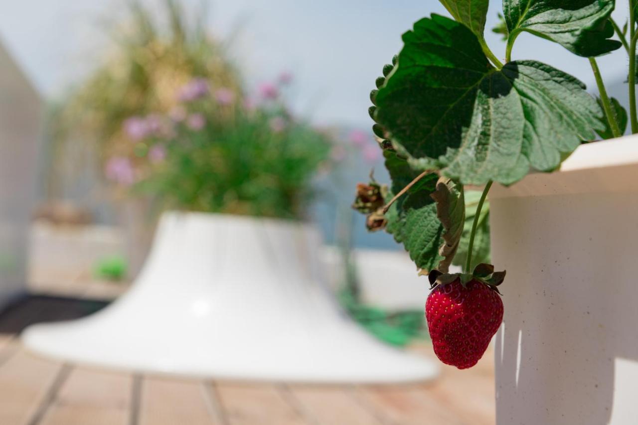 Dreamy Aegean View Apartamento Atenas Exterior foto